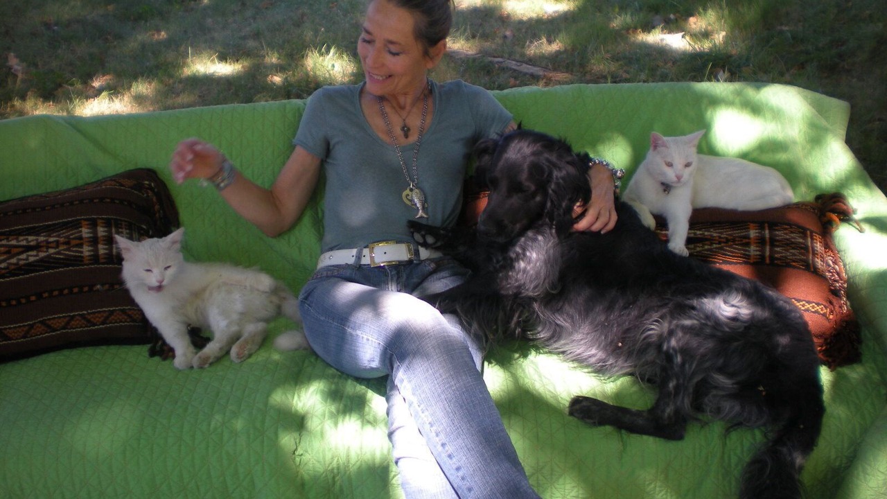 Photo of Others in Brignoles