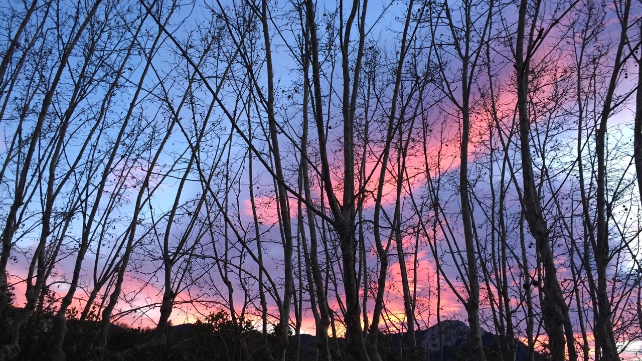 Photo of Outdoor in Brignoles