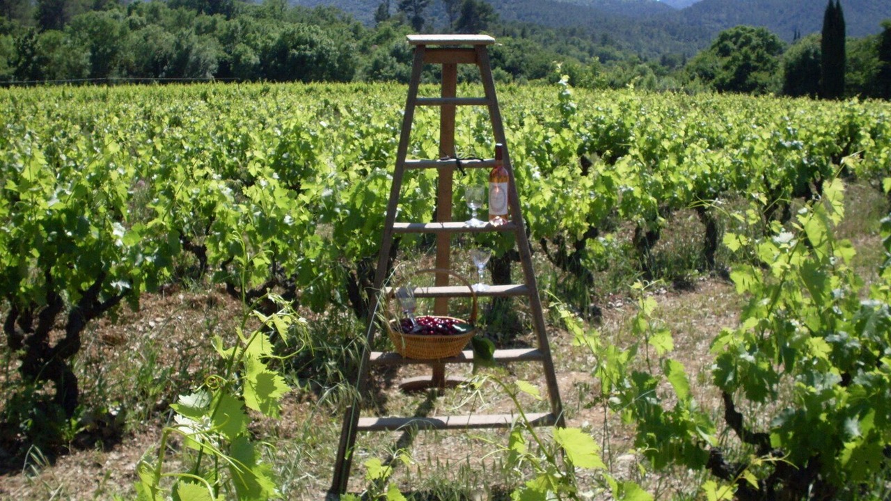 Photo of Outdoor in Brignoles