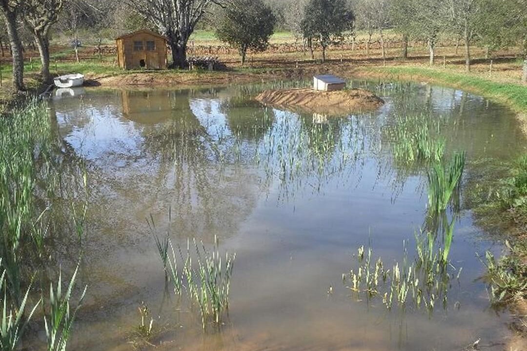 Photo of Outdoor in Tourves