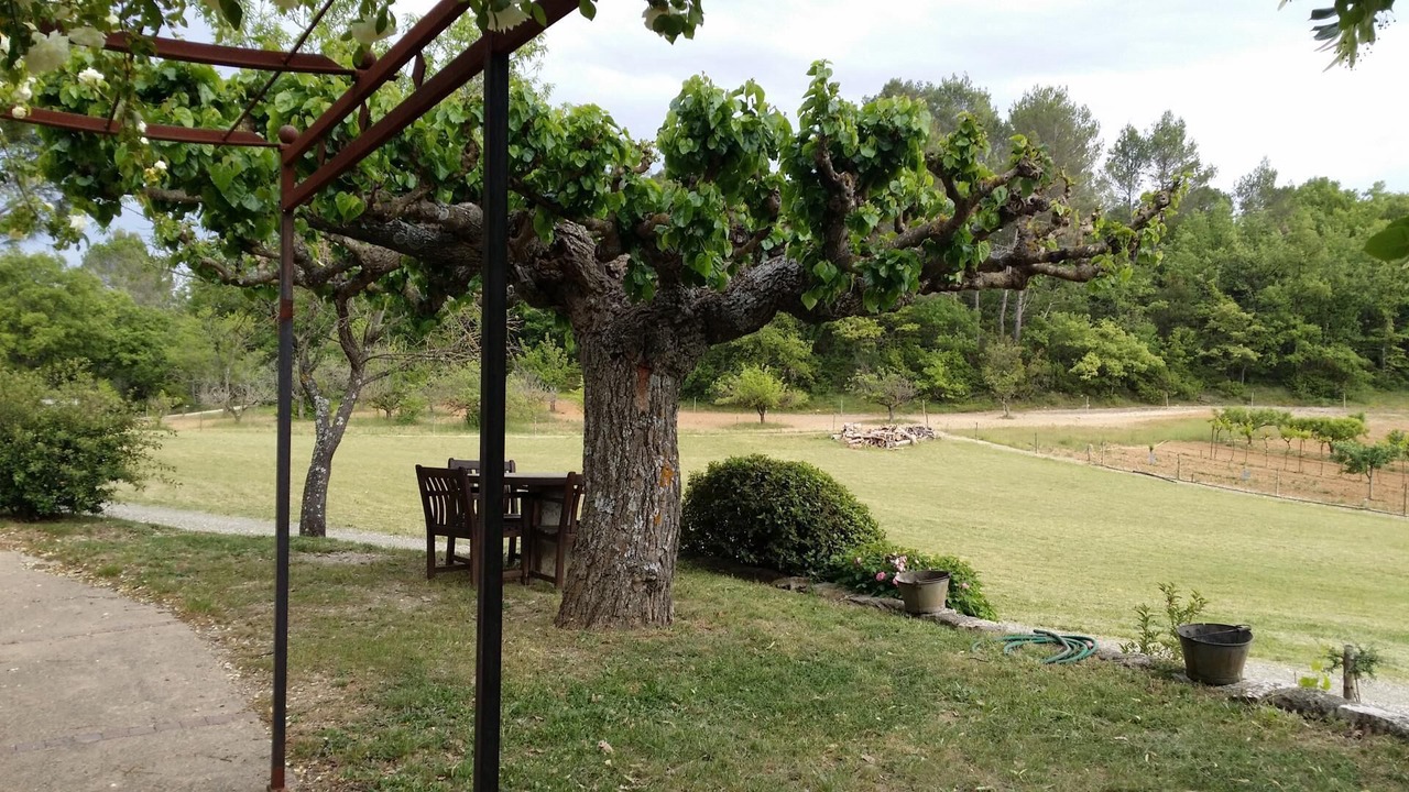 Photo of Outdoor in Tourves