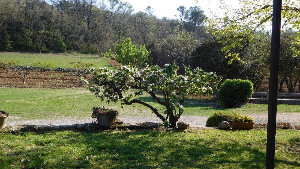 Photo of Outdoor in Tourves