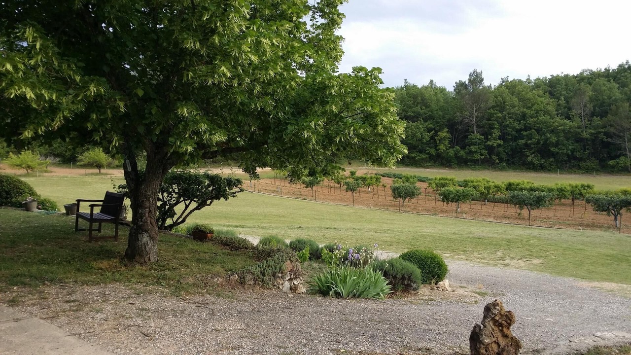 Photo of Outdoor in Tourves