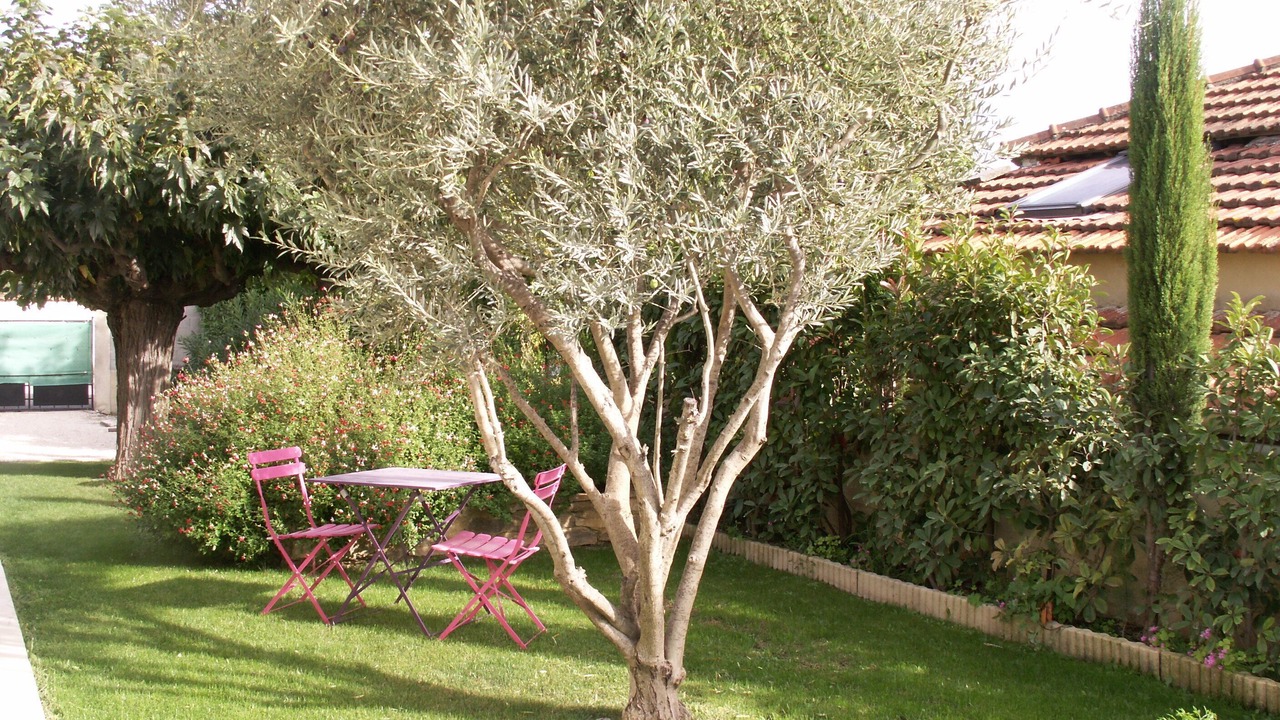 Photo of Outdoor in Orange