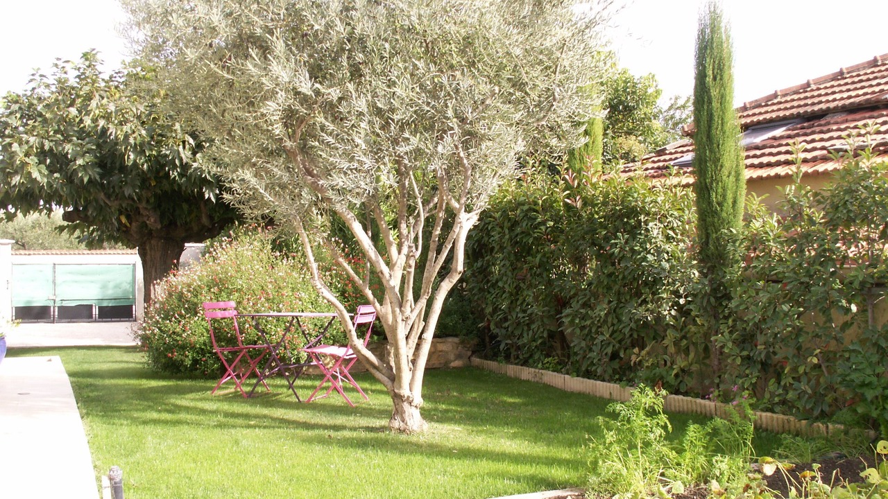 Photo of Outdoor in Orange