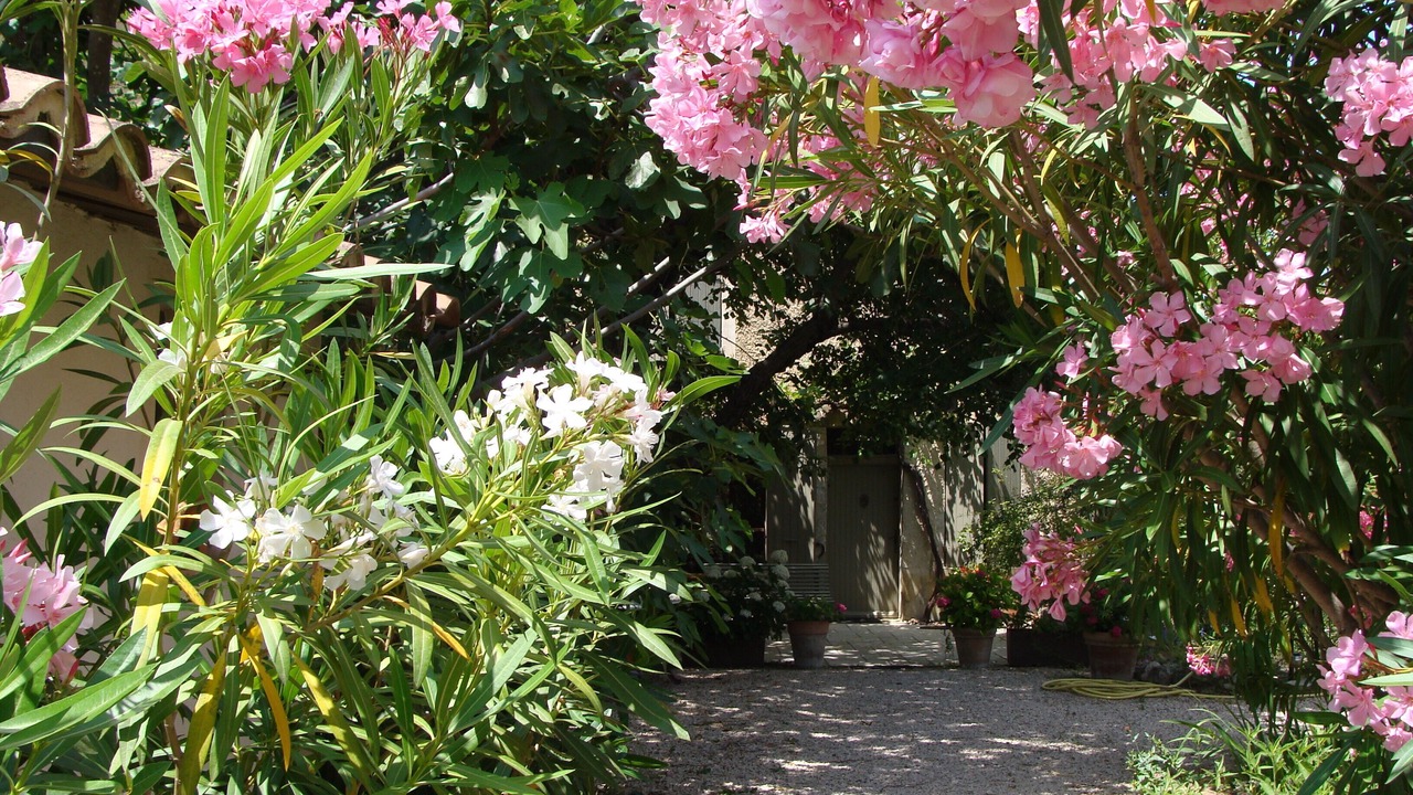 Photo of Outdoor in Saint-Saturnin-les-Avignon