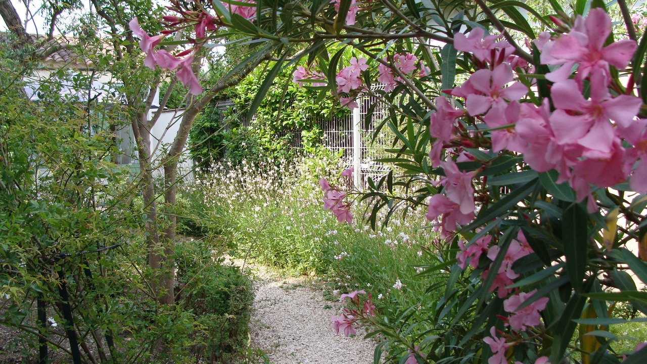 Photo of Outdoor in Saint-Saturnin-les-Avignon