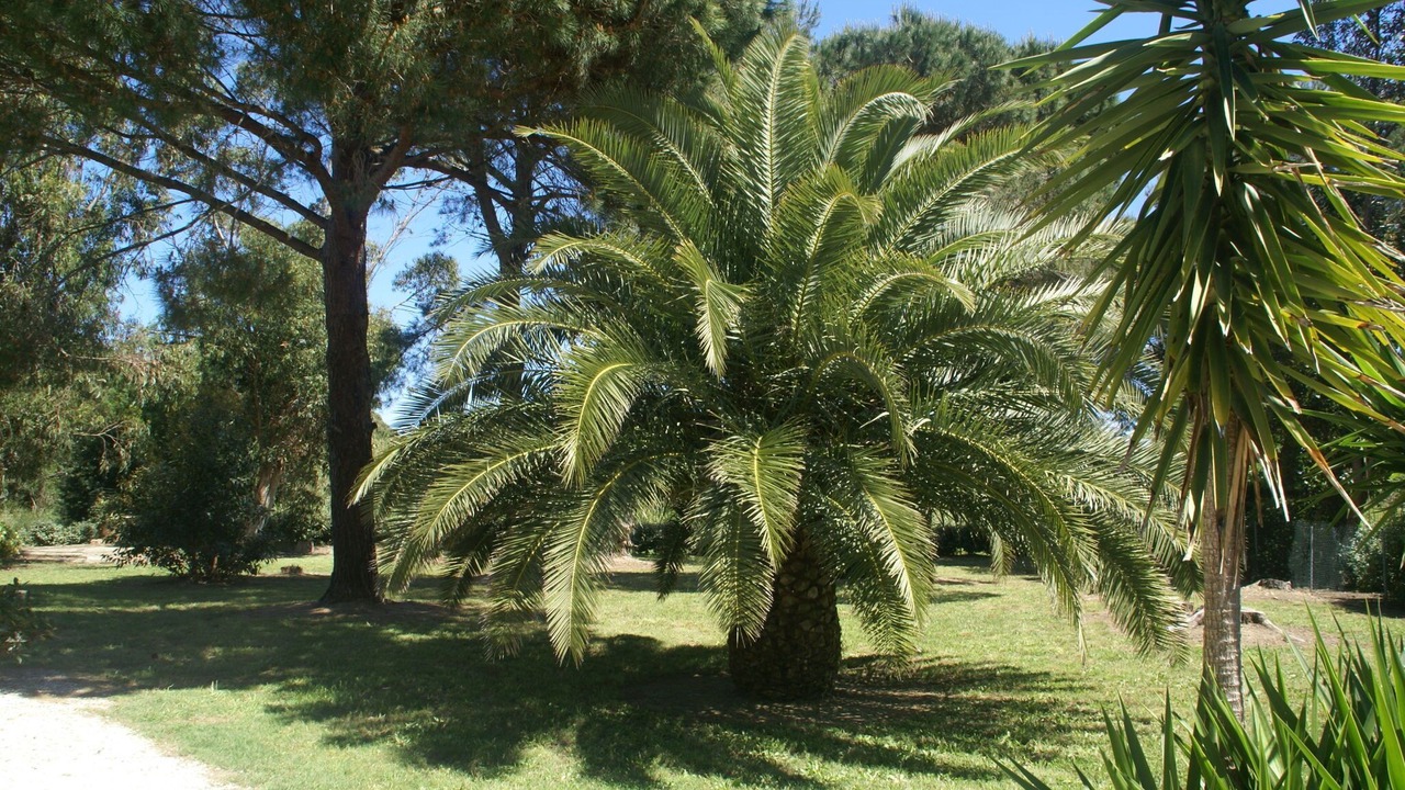 Photo of Outdoor in Cote d'Azur- French Riviera