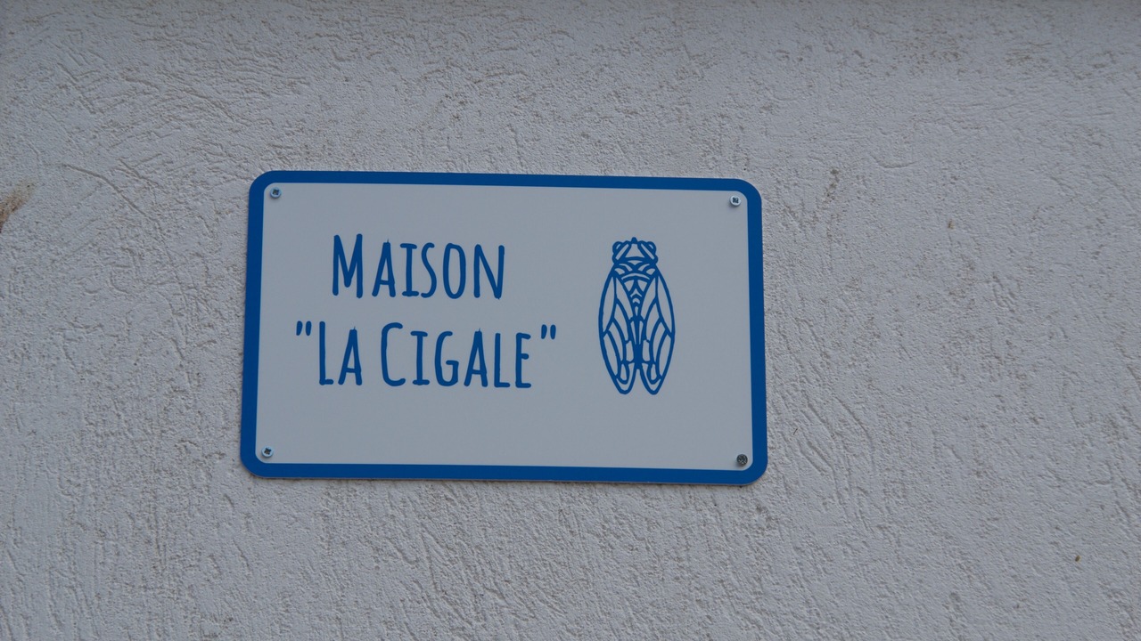 Photo of Outdoor in Allemagne-en-Provence