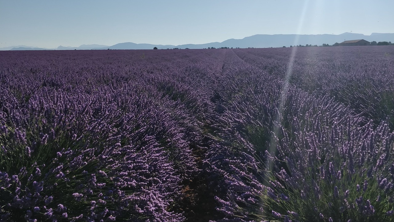 Photo of Outdoor in Allemagne-en-Provence