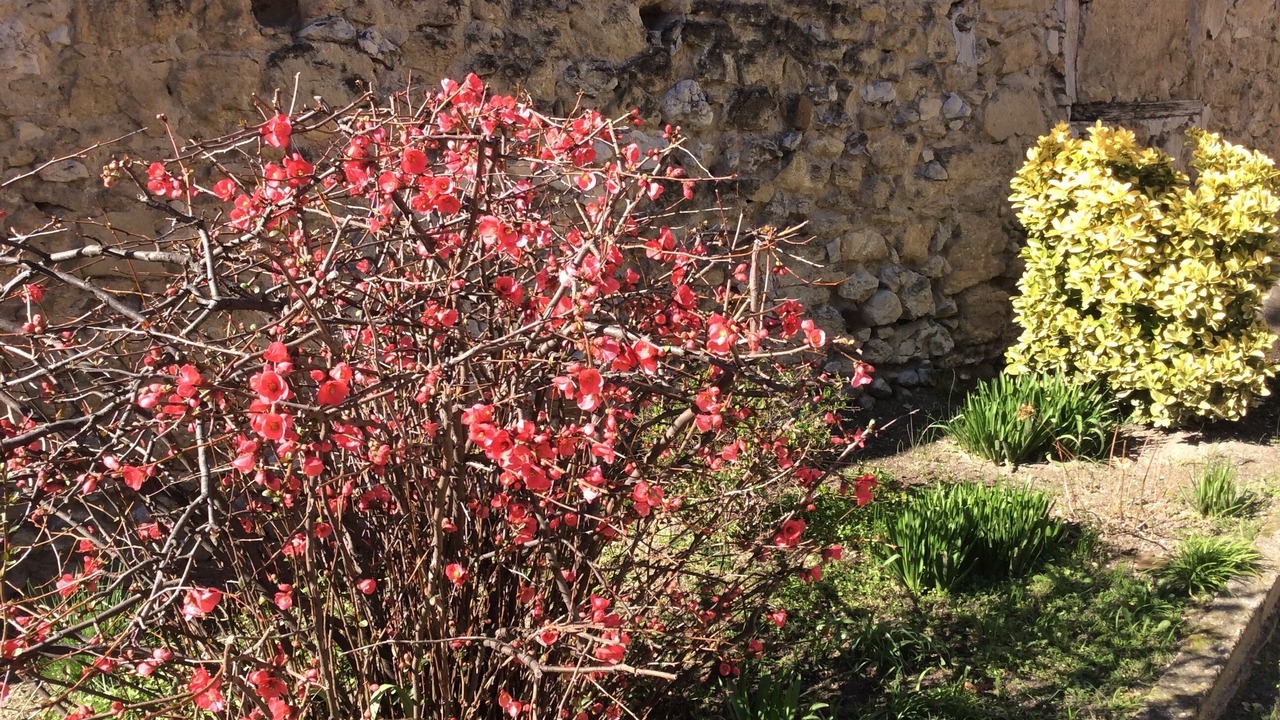 Photo of Outdoor in Robion