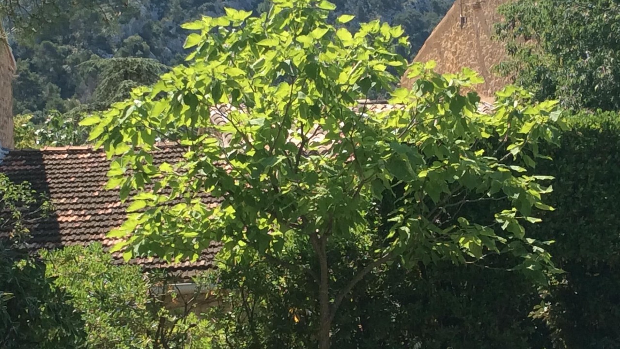 Photo of Outdoor in Robion