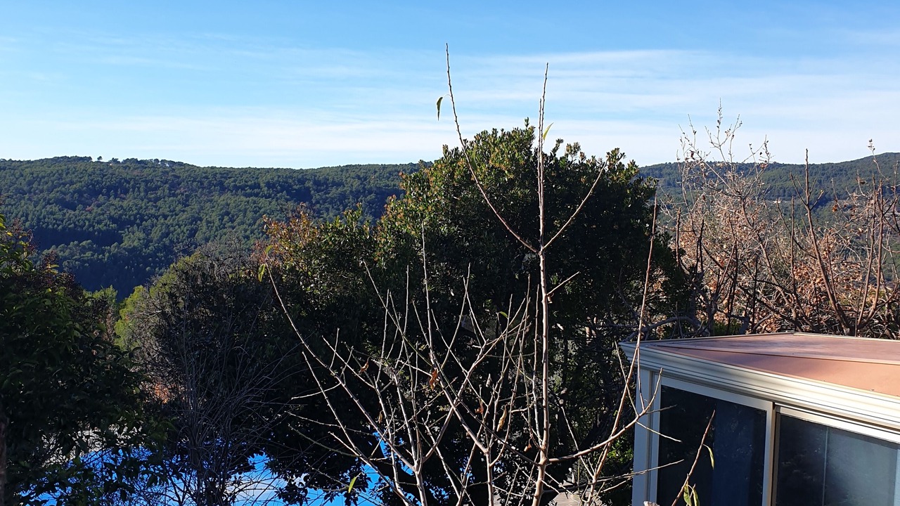 Photo of Outdoor in Draguignan