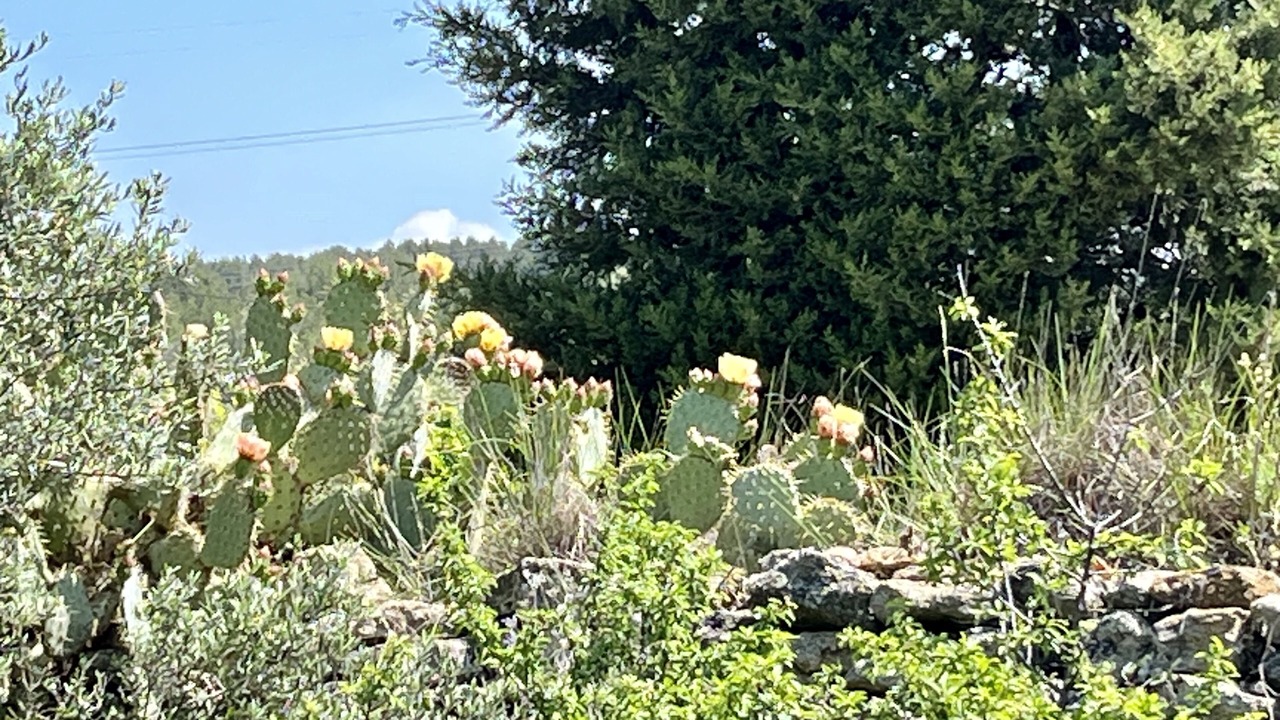 Photo of Outdoor in Pelissanne