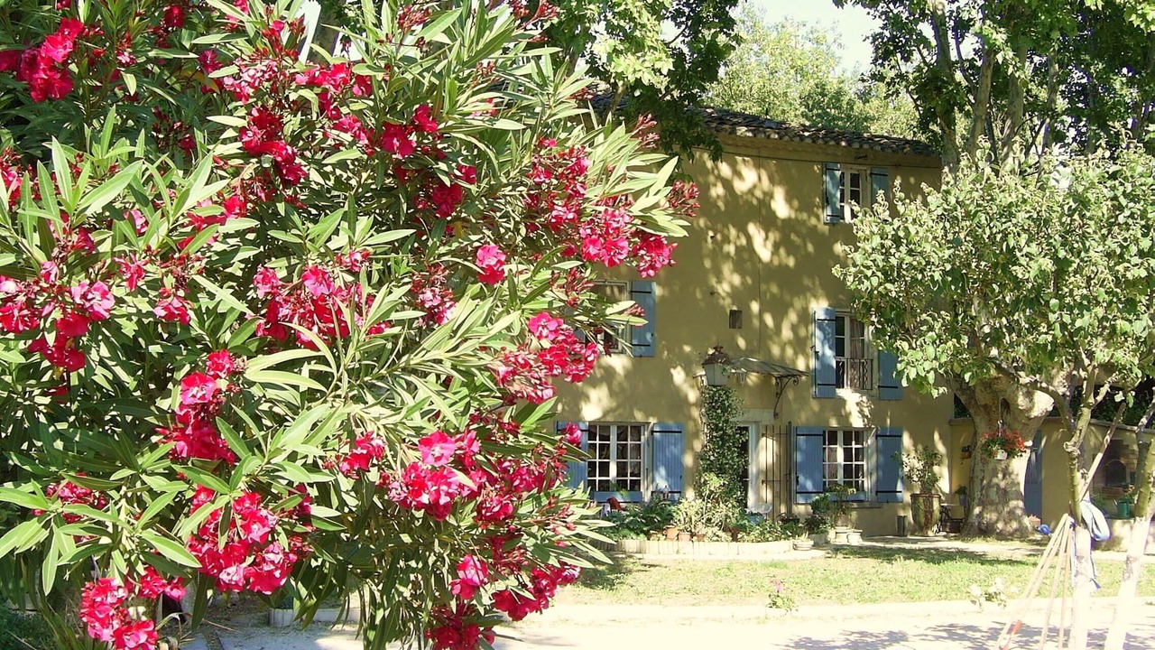 Photo of Outdoor in Villeneuve-les-Avignon