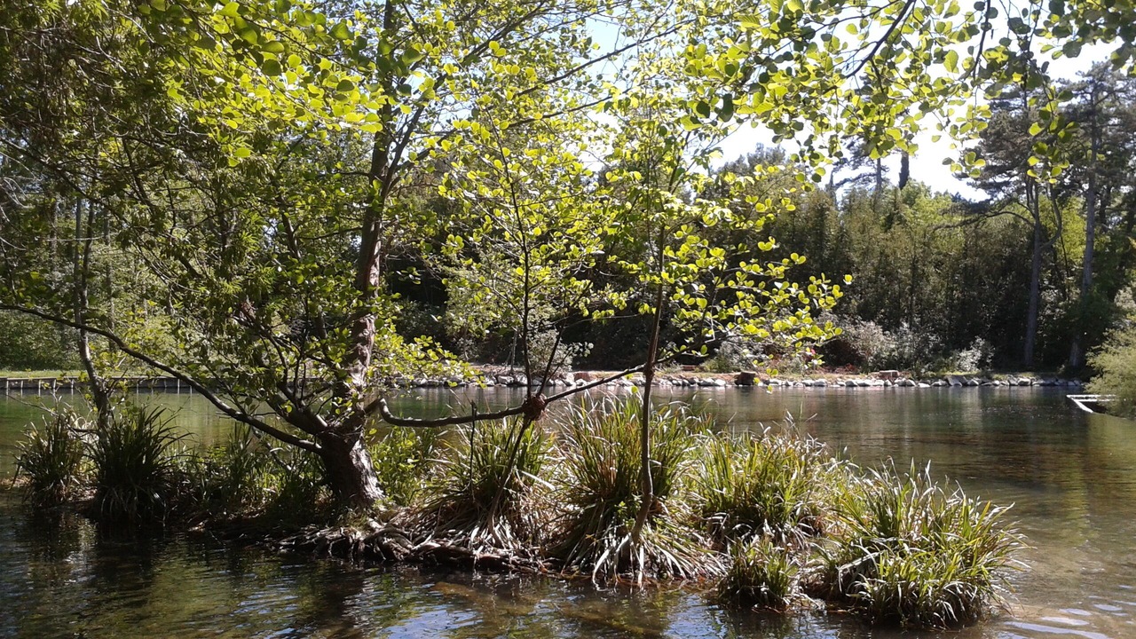 Photo of Outdoor in Villeneuve-les-Avignon