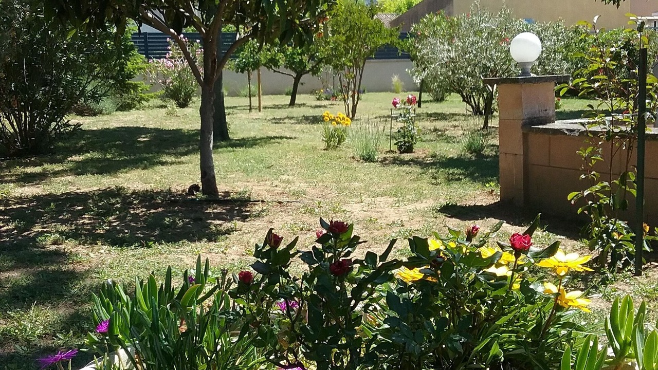 Photo of Outdoor in Robion