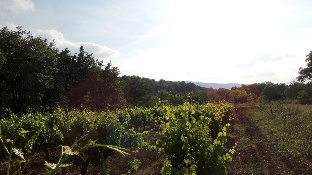 Photo of Outdoor in Menerbes