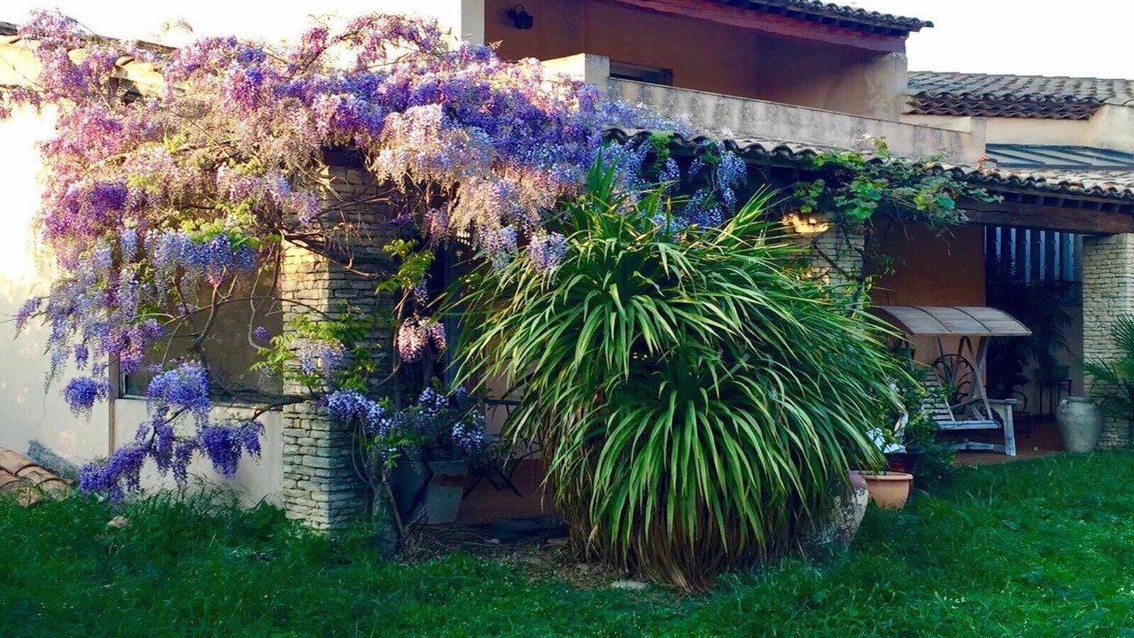 Photo of Outdoor in Les Pennes-Mirabeau