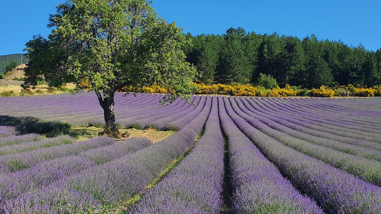 Photo of Outdoor in Seguret