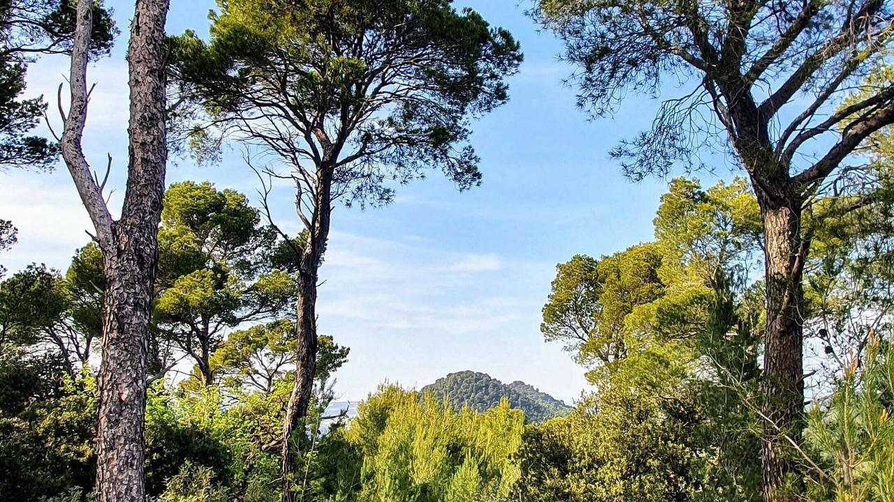 Photo of Outdoor in Seguret