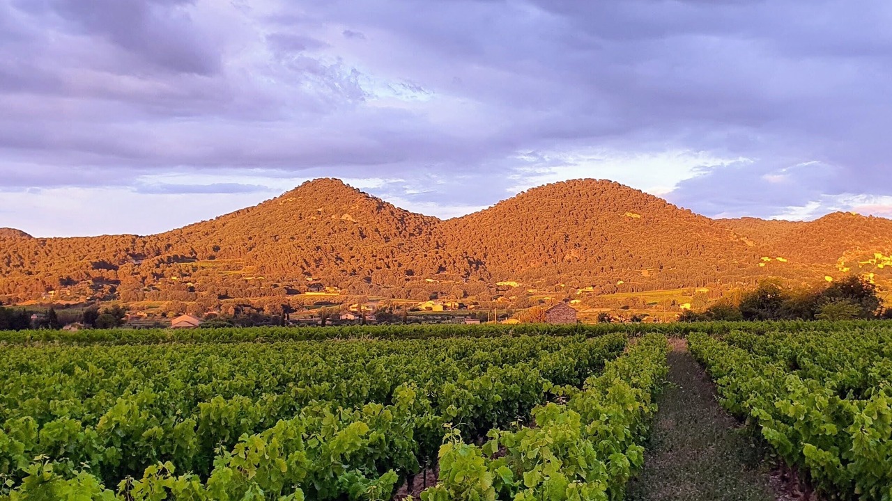 Photo of Outdoor in Seguret