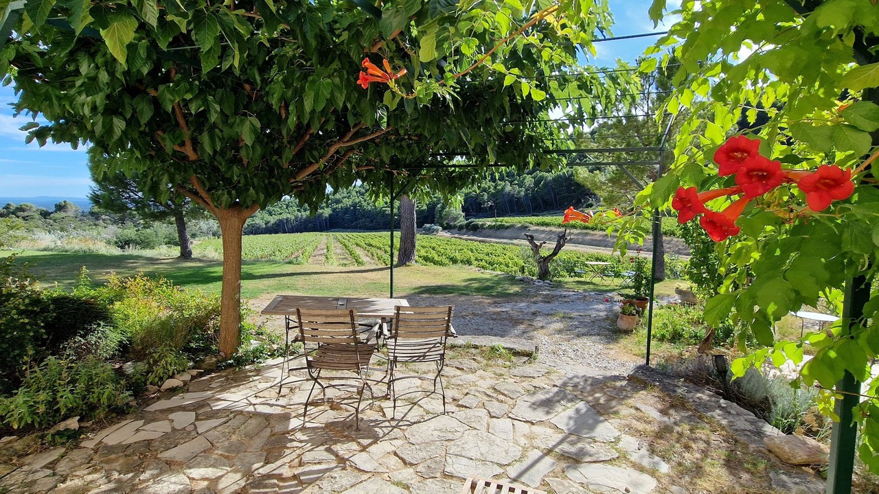 Photo of Outdoor in Vacqueyras