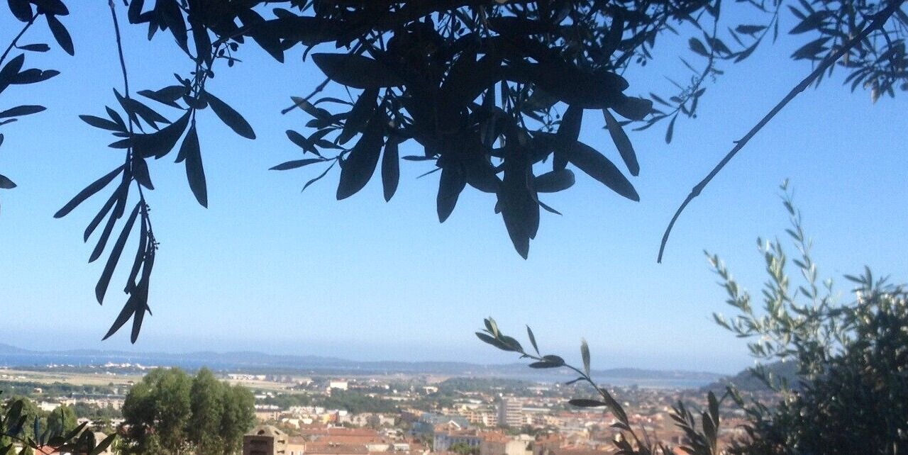 Photo of Others in Hyeres