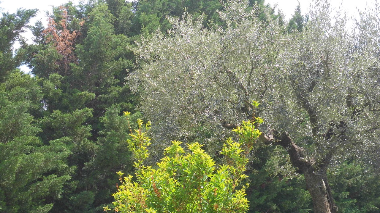 Photo of Outdoor in Lurs