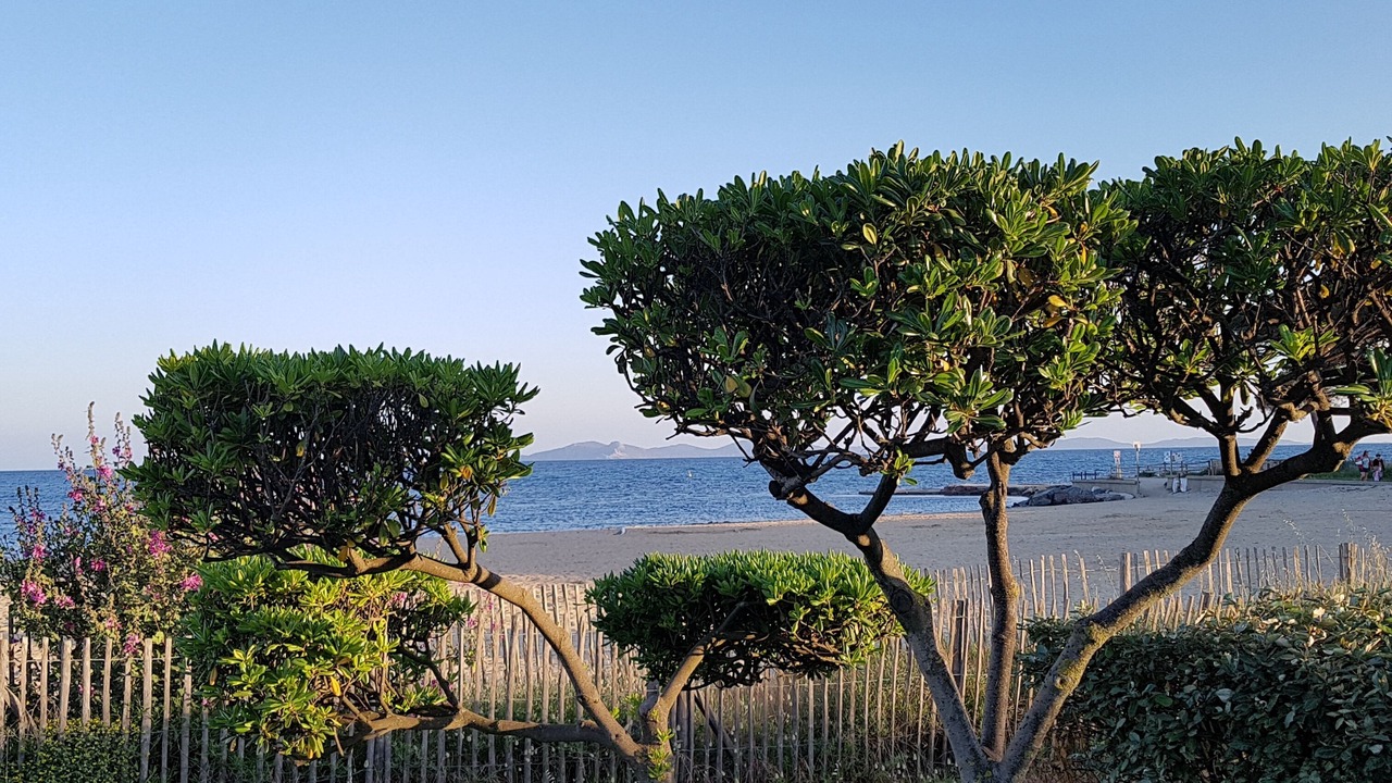 Photo of Outdoor in Miramar