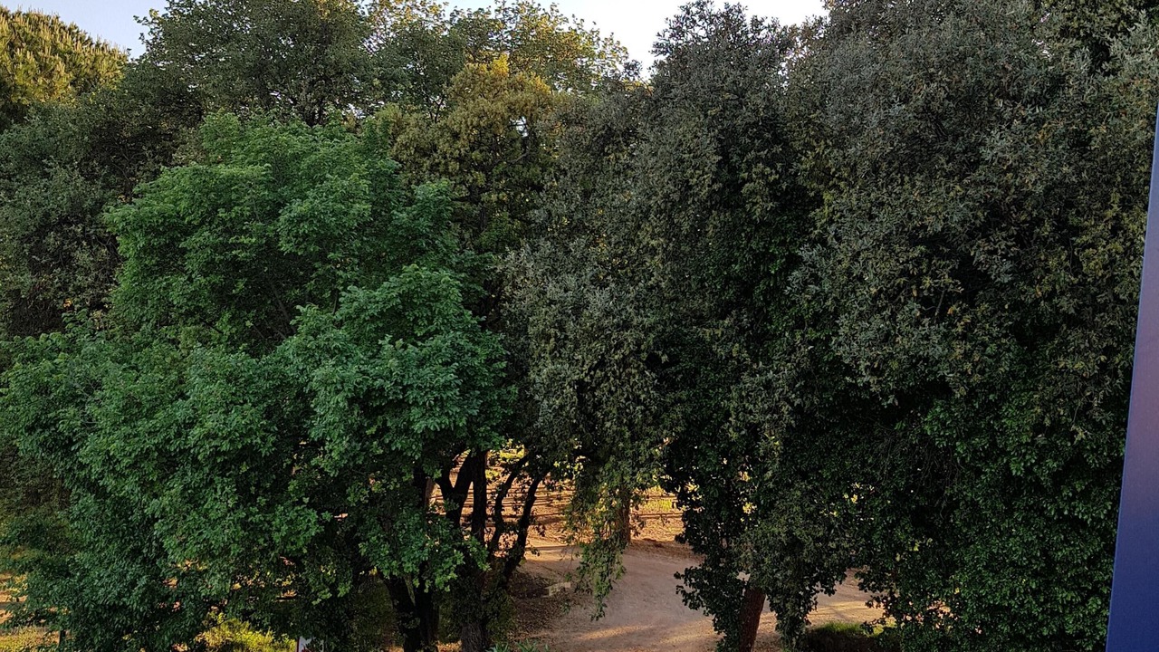 Photo of Outdoor in Miramar