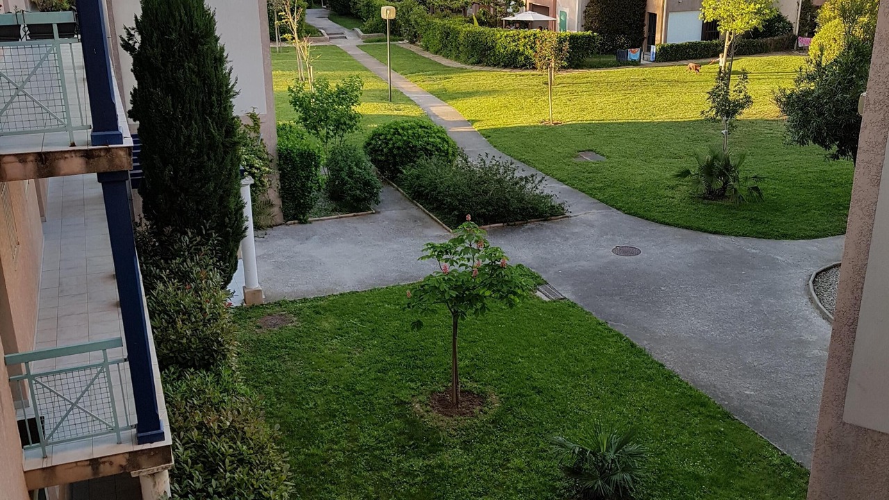 Photo of Outdoor in Miramar