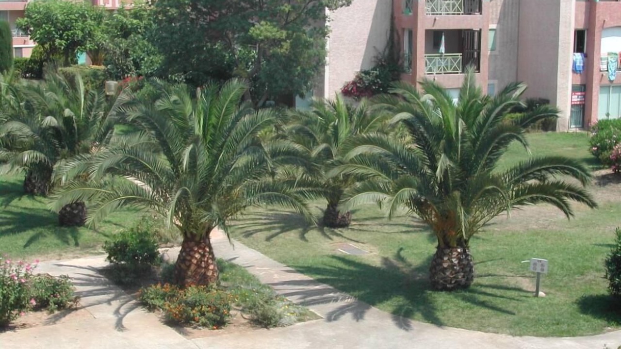 Photo of Outdoor in Miramar