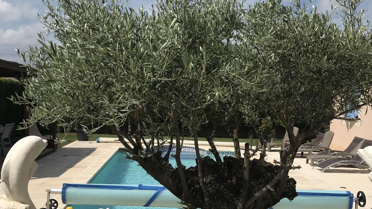 Photo of Outdoor in Molleges