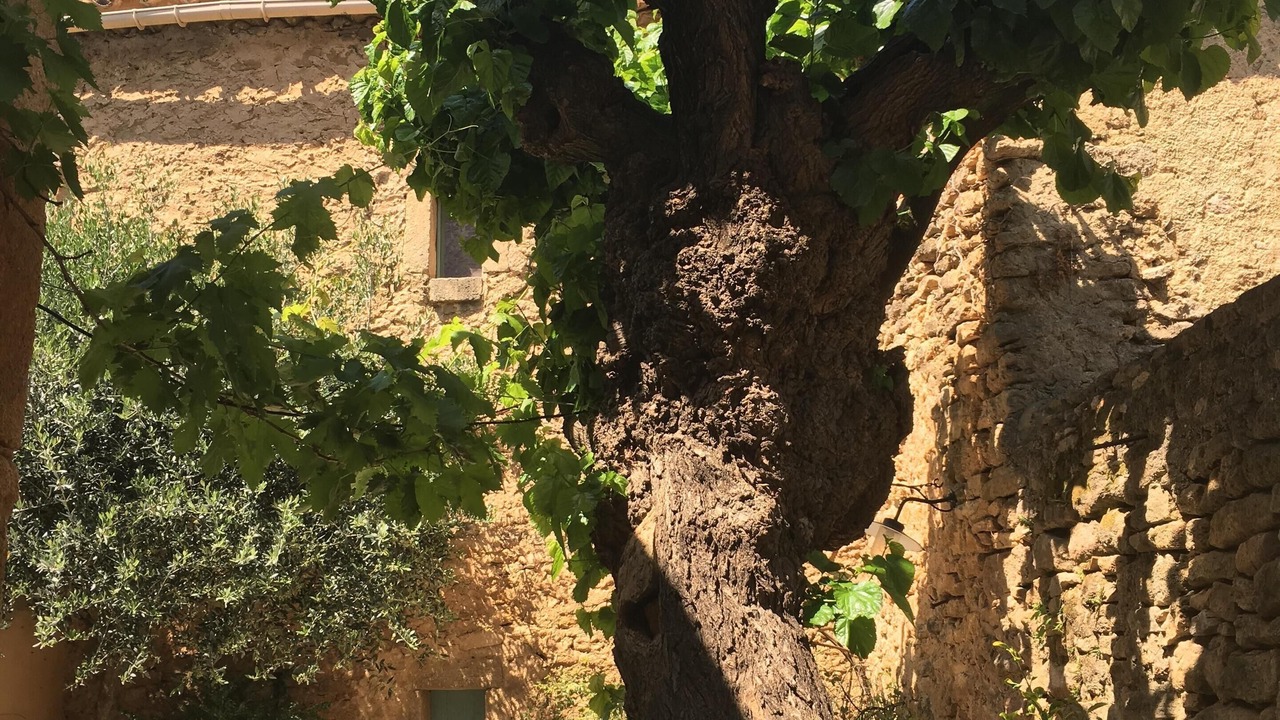 Photo of Outdoor in Vers-Pont-du-Gard