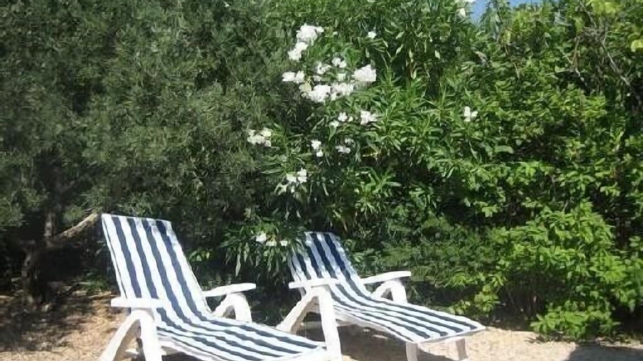 Photo of Outdoor in Maussane
