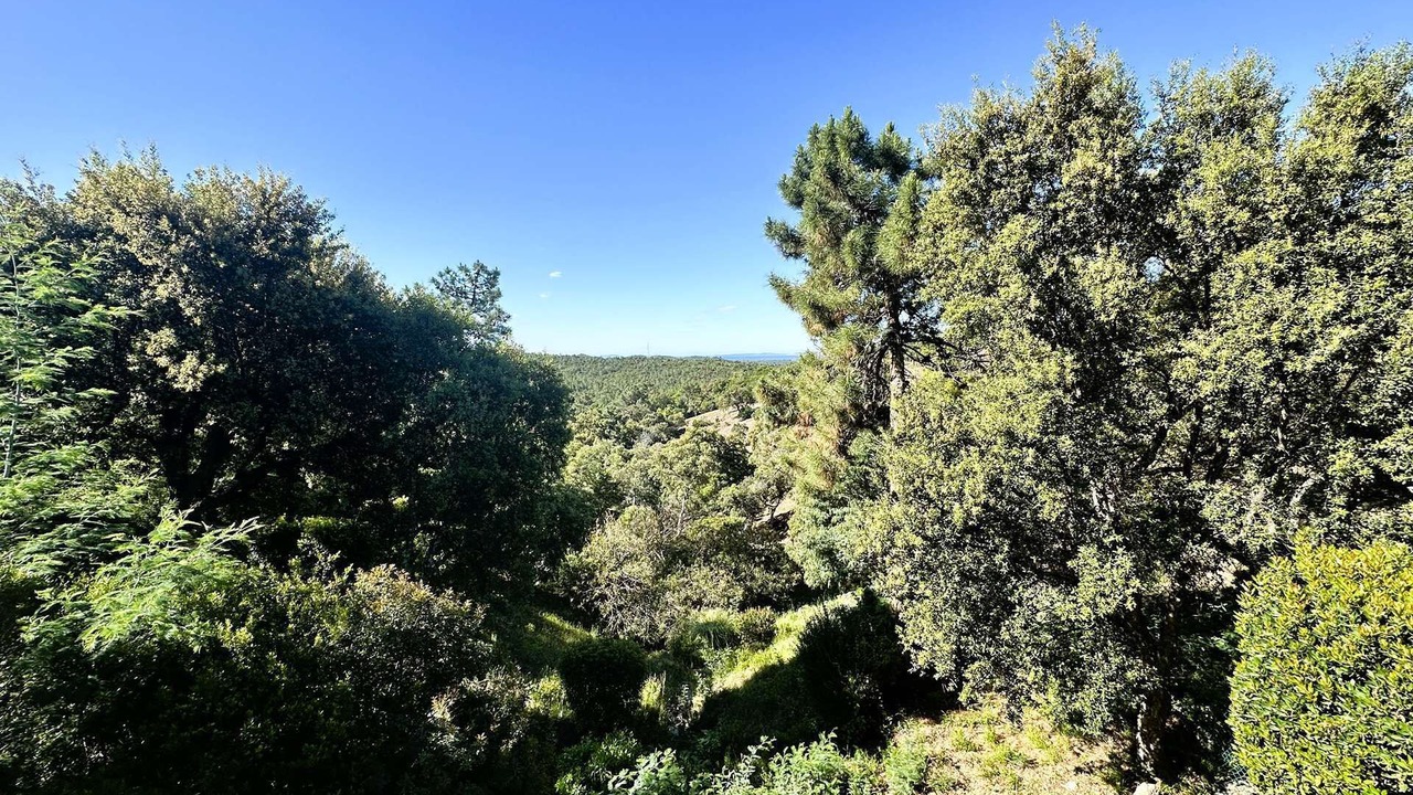 Photo of Others in La Londe-les-Maures