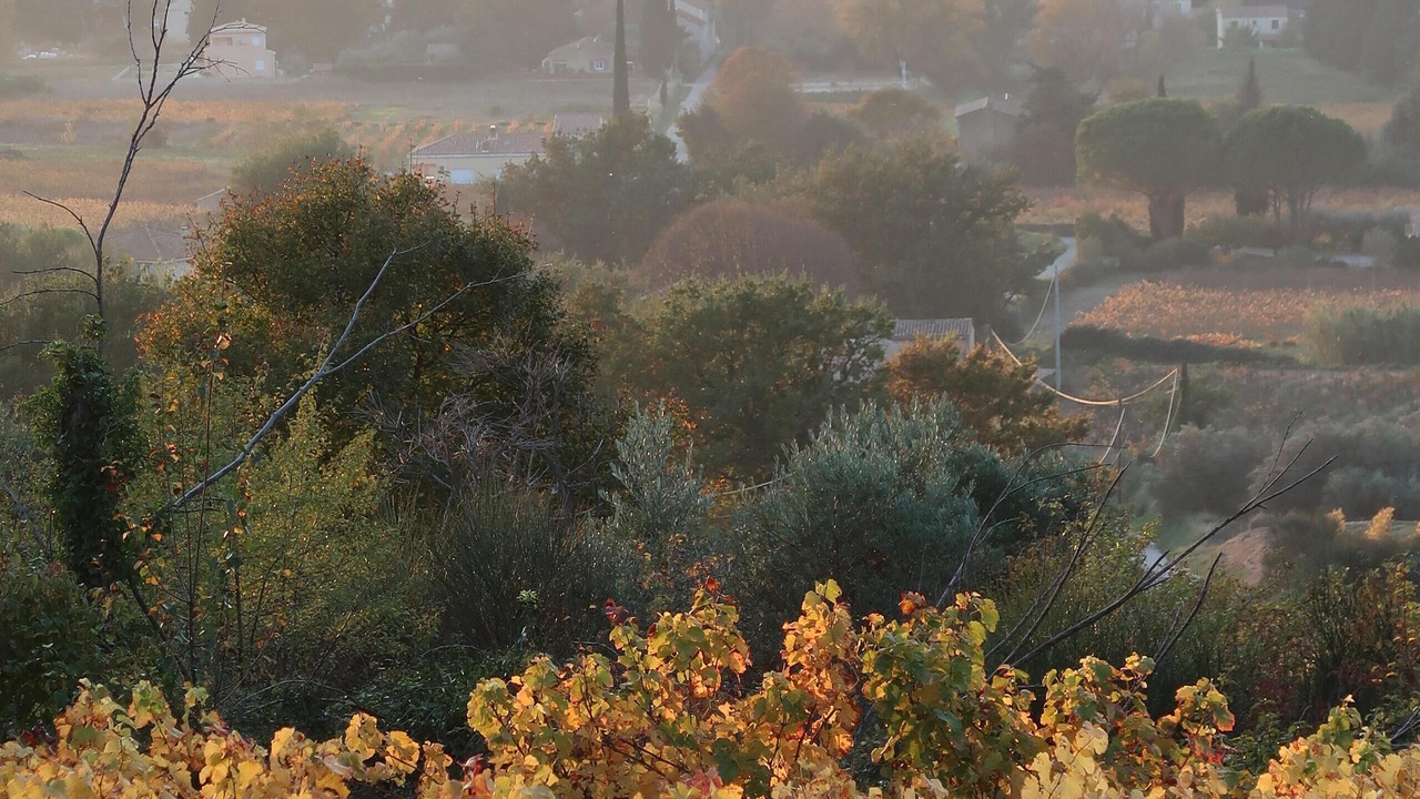 Photo of Outdoor in Sablet