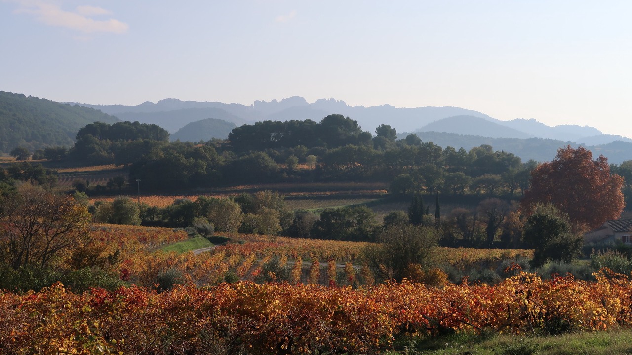 Photo of Outdoor in Sablet