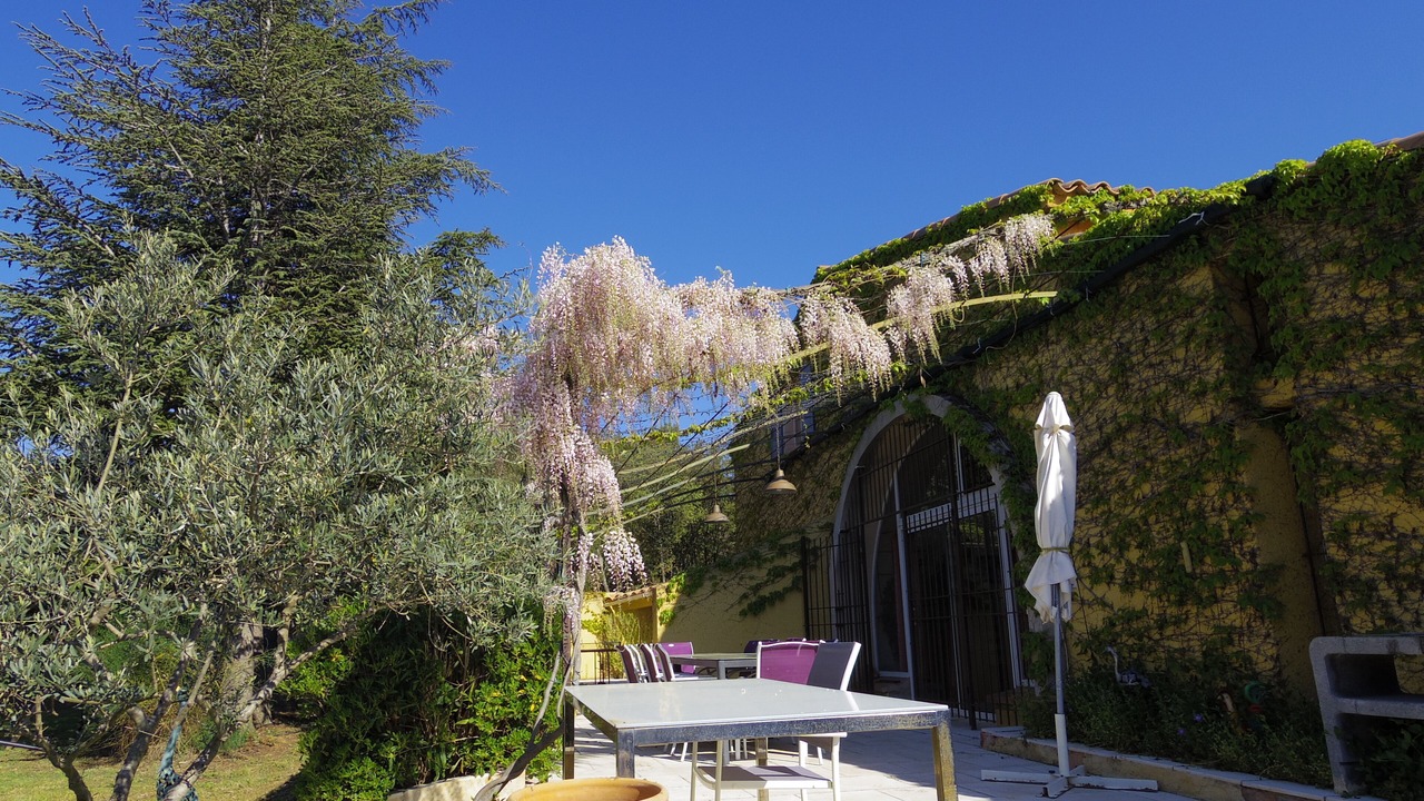Photo of Outdoor in Gargas