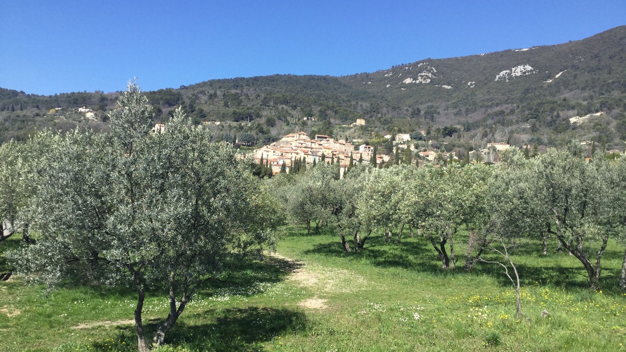 Photo of Outdoor in Seillans
