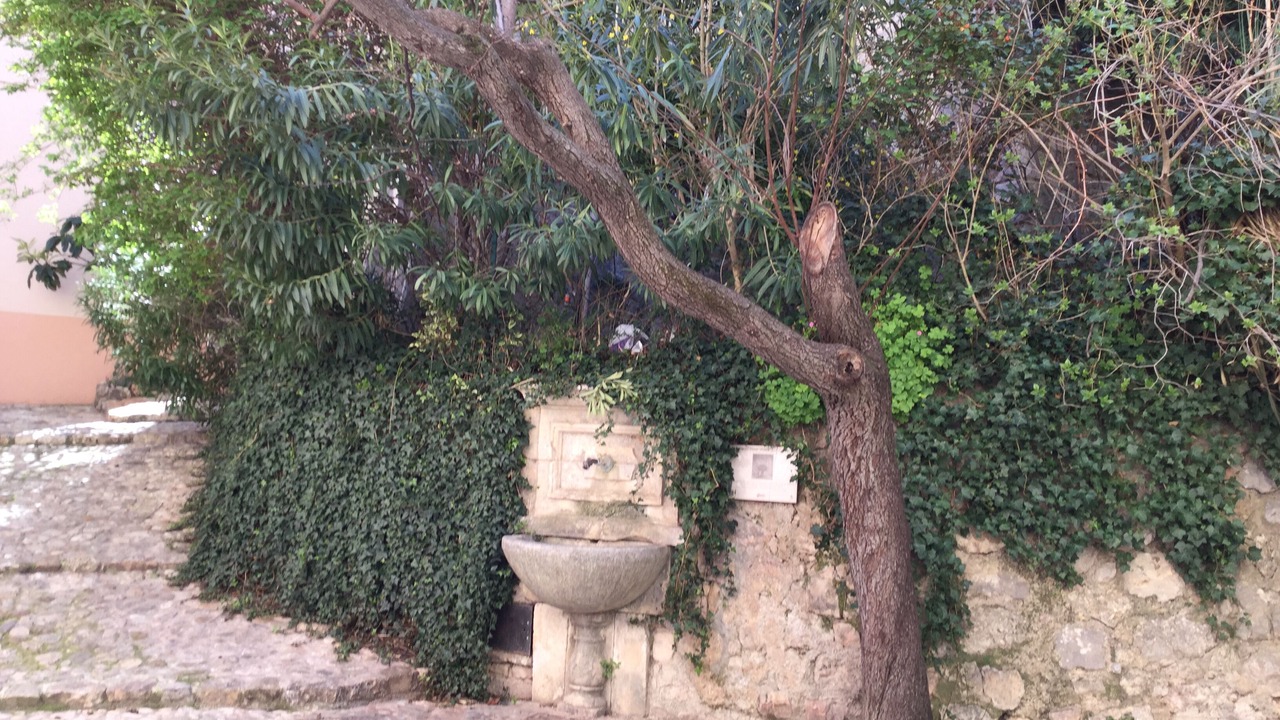 Photo of Outdoor in Seillans