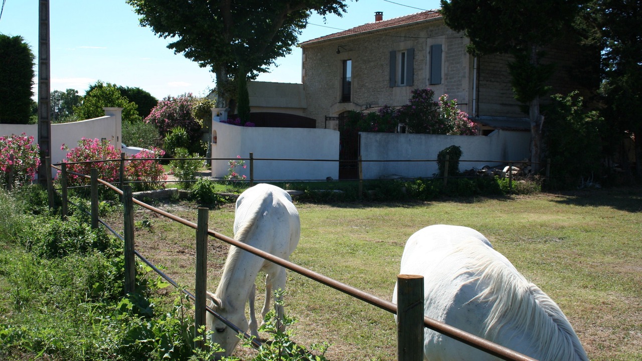 Photo of Outdoor in Chateaurenard