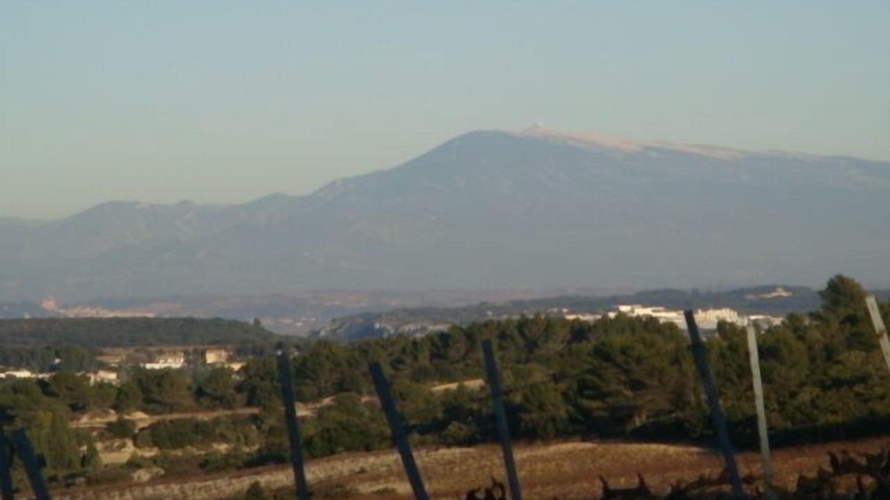 Photo of Others in Tavel
