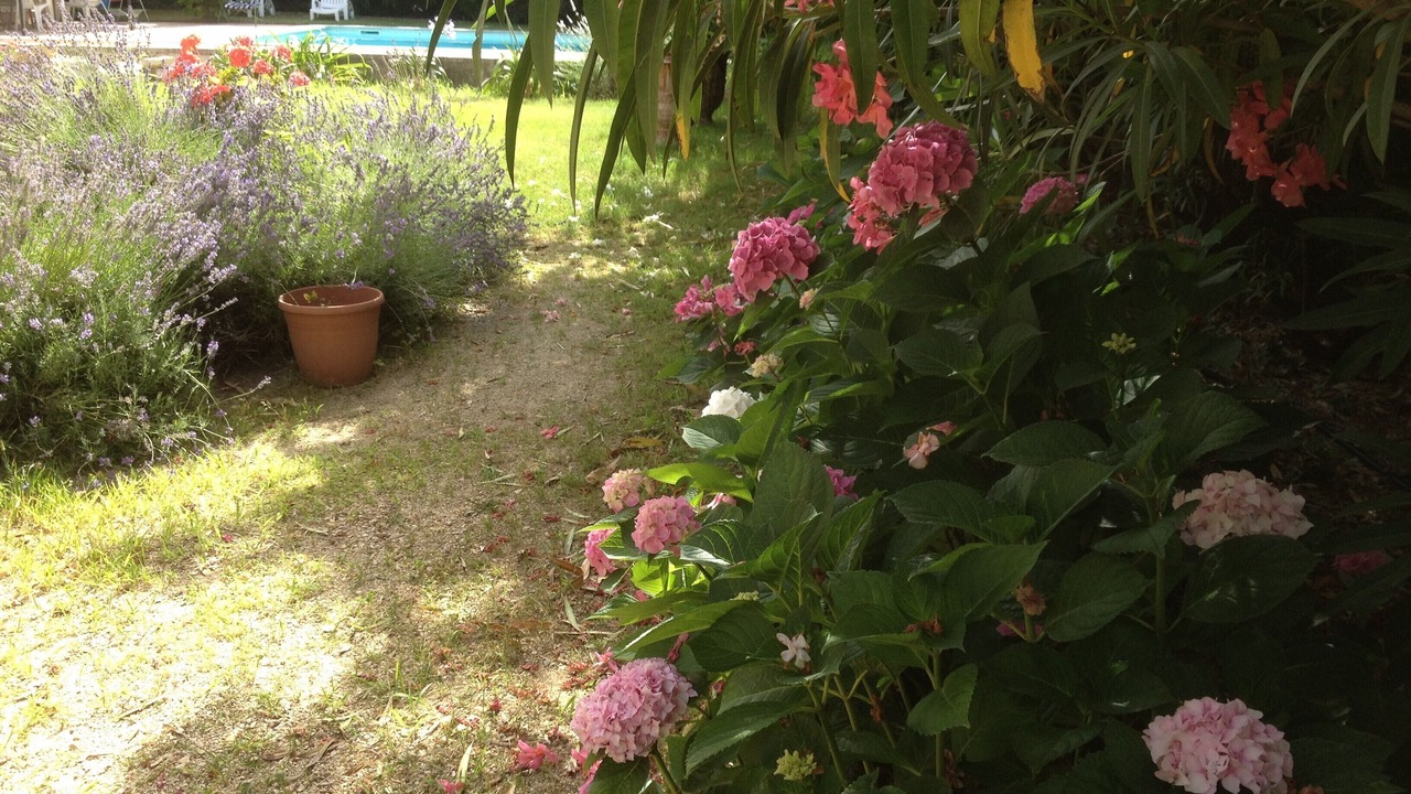 Photo of Outdoor in Tavel