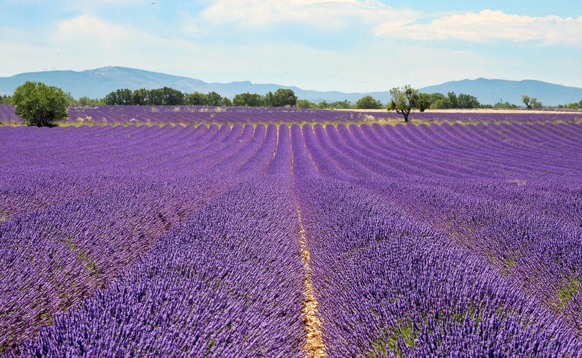 Photo of Others in Allemagne-en-Provence