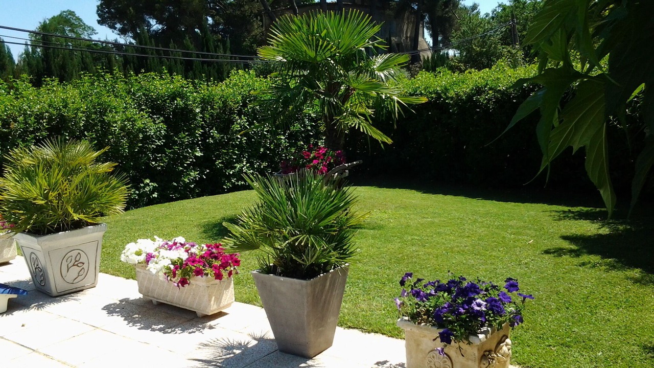 Photo of Outdoor in Pierrevert