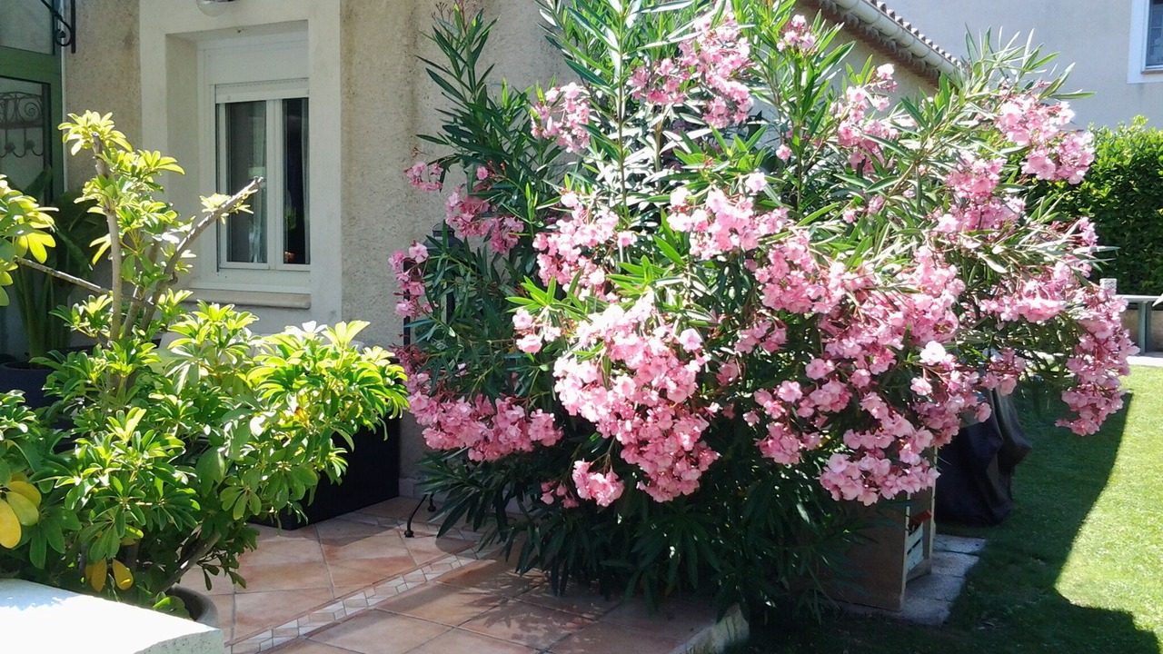 Photo of Outdoor in Pierrevert