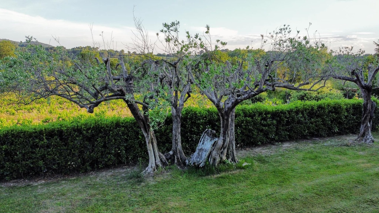 Photo of Outdoor in Sablet