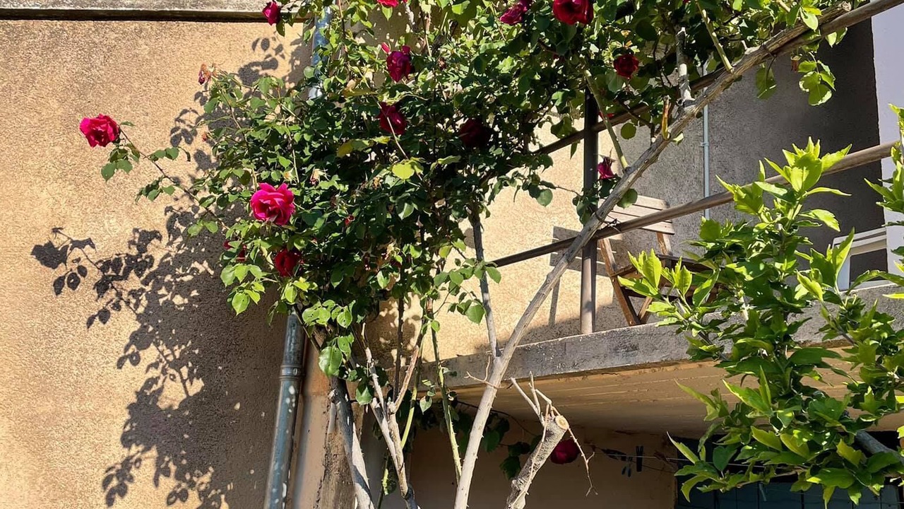 Photo of Outdoor in Sablet